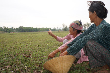 Nông[-]dân[-]Quảng[-]Nam[-]bên[-]ruộng[-]đồng[-]bị[-]bỏ[-]hoang[-]nhiều[-]tháng[-]nay.
